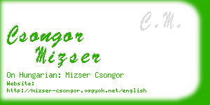 csongor mizser business card